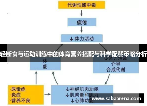 轻断食与运动训练中的体育营养搭配与科学配餐策略分析