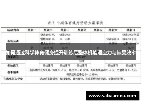 如何通过科学体育健身提升训练后整体机能适应力与恢复效率